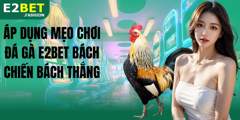 Áp dụng mẹo chơi đá gà E2BET bách chiến bách thắng