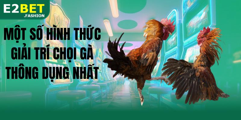 Một số hình thức giải trí chọi gà thông dụng nhất