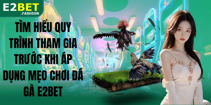 Tìm hiểu quy trình tham gia trước khi áp dụng mẹo chơi đá gà E2BET