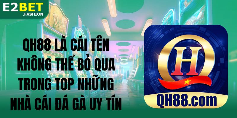 QH88 là cái tên không thể bỏ qua trong top những nhà cái đá gà uy tín